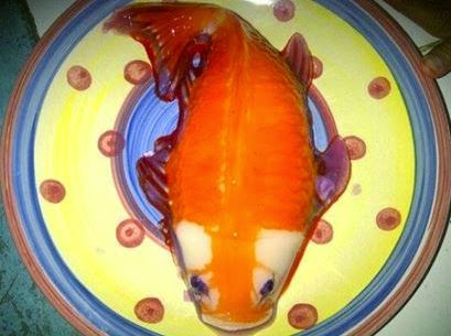 Contoh Gambar Cara Mewarnai Jelly Ikan Koi - KataUcap