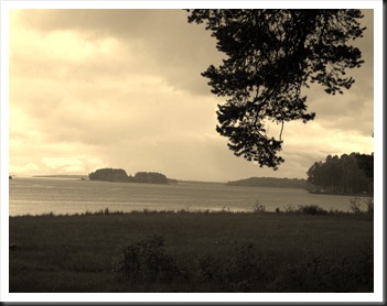 Stranden med tallgren i fg, sjön med holmar i bg