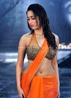 Tamanna, hot, navel, show, in, sexy, wet, saree