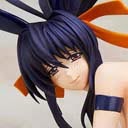 FIGURA AKENO HIMEJIMA BUNNY Ver. High School D×D NEW