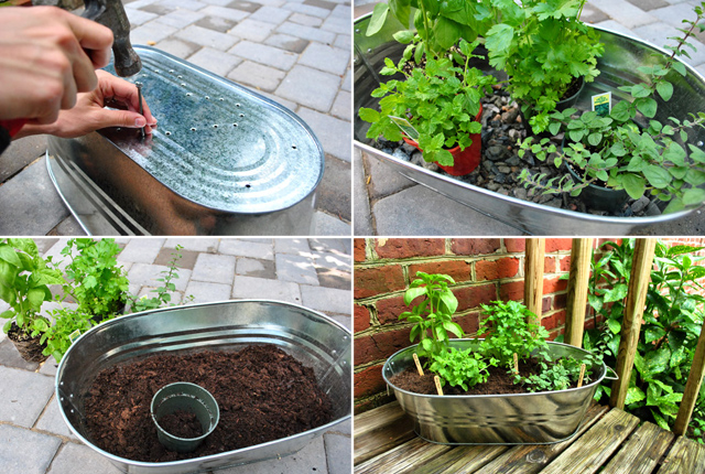10 ideias para cultivar suas próprias ervas em casa