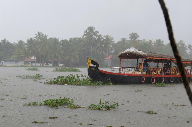 Shikara on Alleppey Backwaters