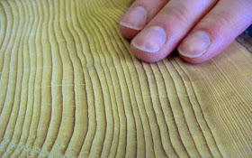 Touching the tree rings