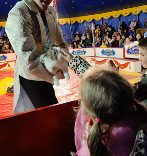 Stroking the bunny rabbit from the magic show