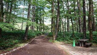 上高地 スタート