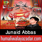 http://www.humaliwalayazadar.com/2015/10/junaid-abbas-nohay-2016.html