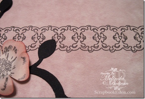 closeup of border