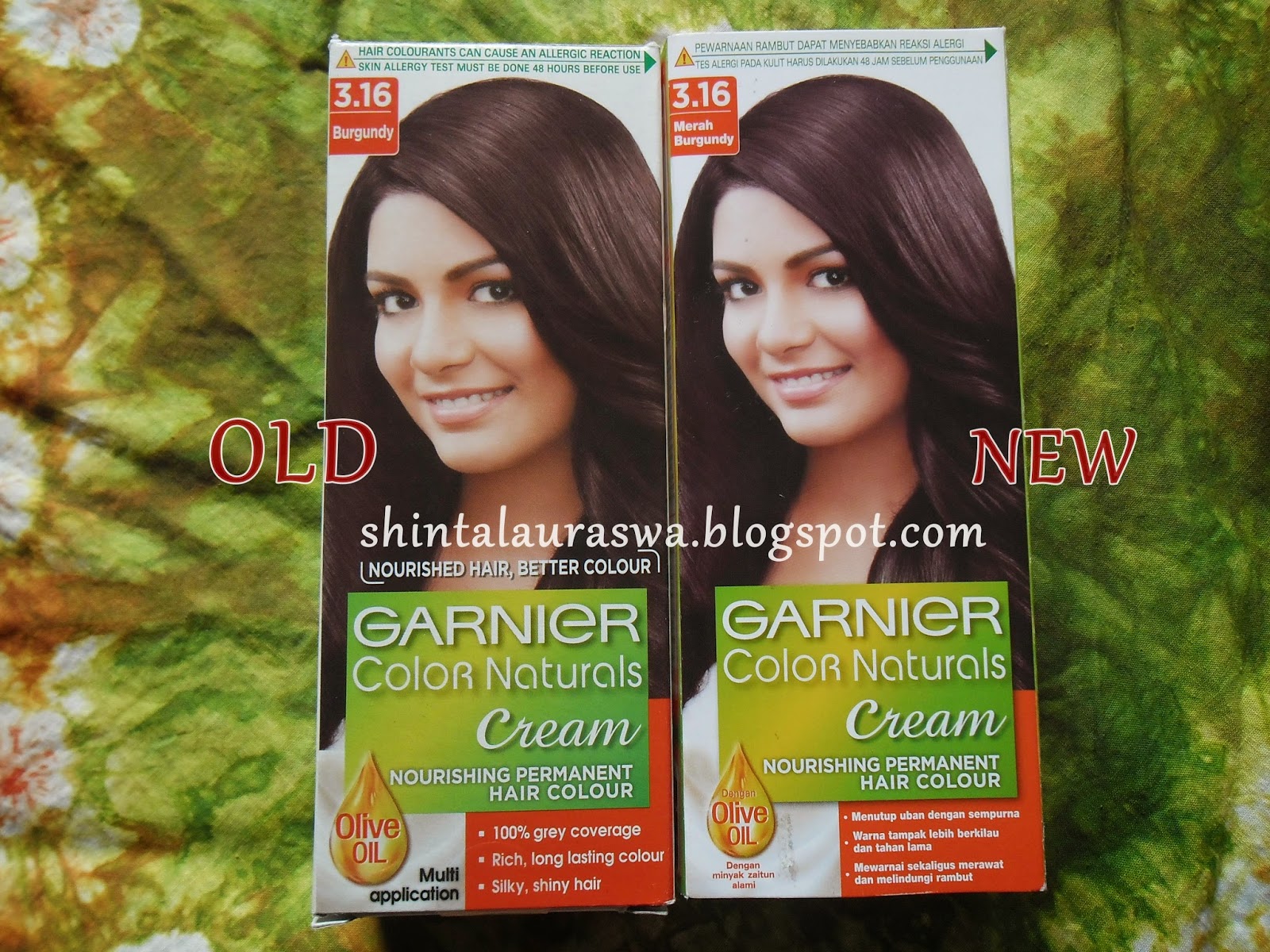 Shinta Laura Dewani s Room Review Garnier  Color 