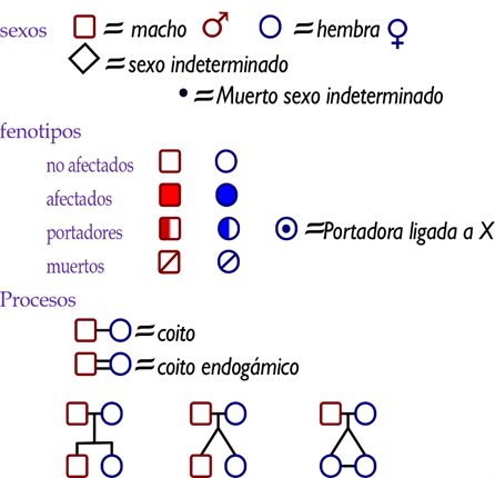 Símbolos básicos de un Pedigrí.