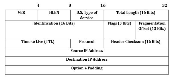 IP Header Format