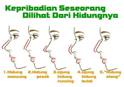 5 Arti Hidung Yang Mengungkapkan Kepribadian Dan Cara Membacanya