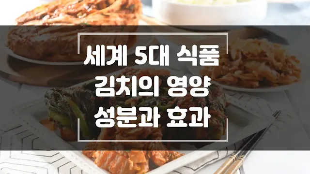 김치의 영양 성분과 우리 몸에 주는 효과 섬네일