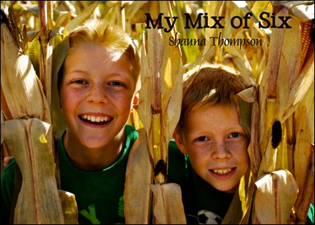 @Pumpkin Patch6