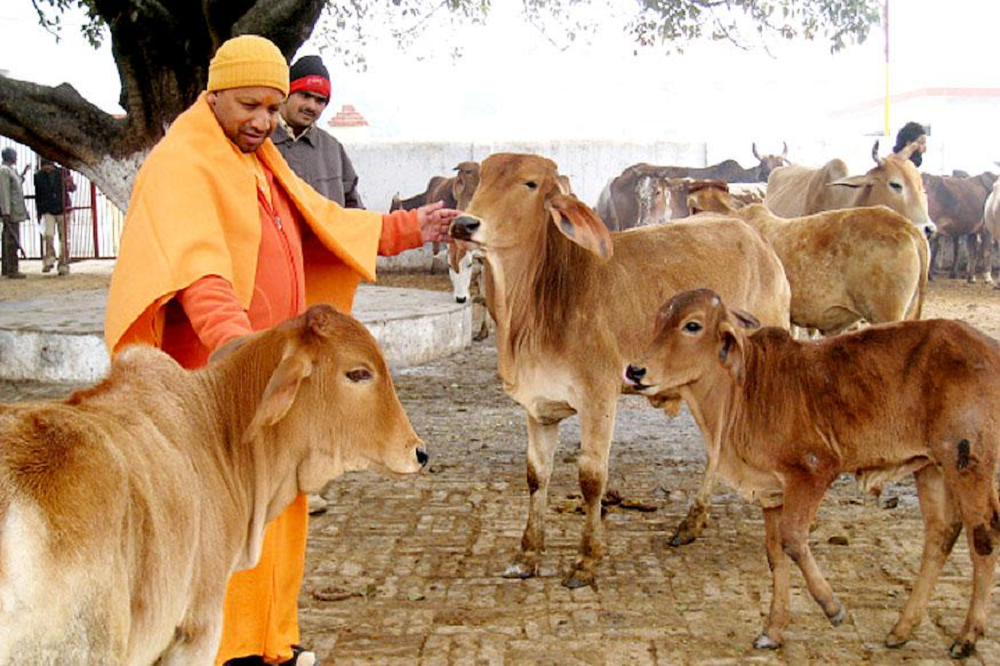 గోమాత కోసం…'గో'రక్షణా ఉద్యమం - 'Cow' protection movement for Gomata