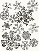 Snowflakes. Exotic Snowflakes (exotic snowflakes)