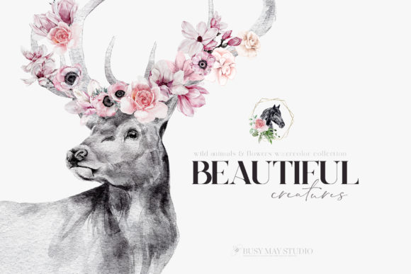 Watercolor Animal Portraits and Flowers
