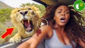 When Animals Go On A Rampage! Interesting Animal Moments CAUGHT ON CAMER