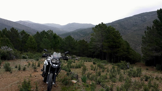 BMW F800GS. Trail Forever. Agua y verde por la Sierra Norte.