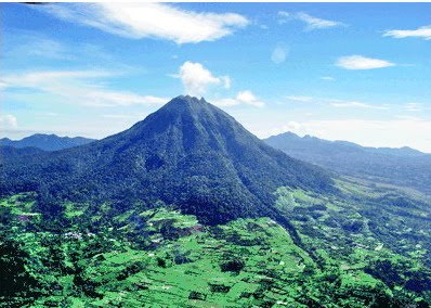 Kisah Mereka Yang Mengabdikan Diri Di Hutan Leuser