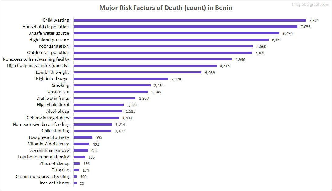 Major Cause of Deaths in Benin (and it's count)