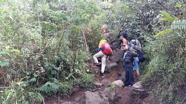 Semeru kecil