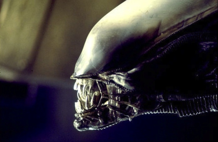 http://www.amazon.ca/Alien-35th-Anniversary-Blu-ray-Bilingual/dp/B00MA156QU/ref=sr_1_3?ie=UTF8&qid=1421212384&sr=8-3&keywords=alien