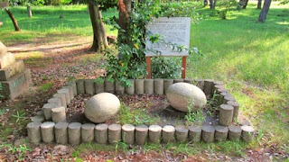 人文研究見聞録：神明社（松島町） ［福井県］