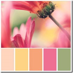 Combo de cores