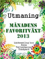 http://annavattenkannastradgard.blogspot.se/p/lanksamling-manadens-favoritvaxt-2013.html