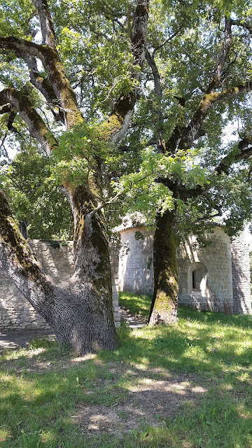 quatrinaime - chapelle notre dame du revest