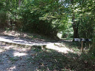 鬼岩公園 ダム 道