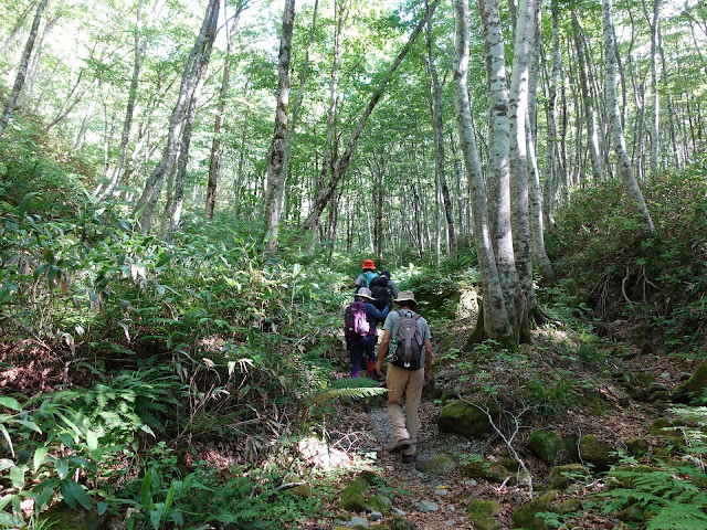 烏ヶ山登山道