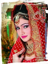 Aanchal Digest November 2012