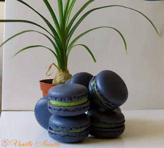 Macaron pistache 