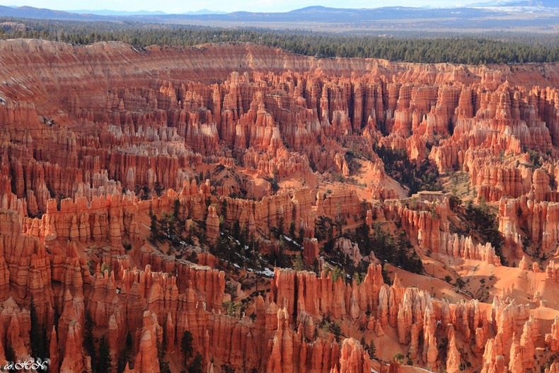 bryce-canyon-8
