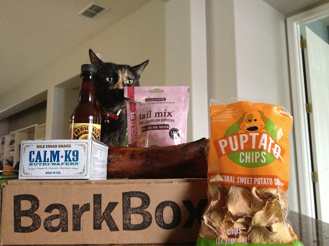 barkbox review