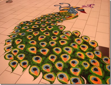 kolam-merak