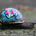 Graffiti_Snails