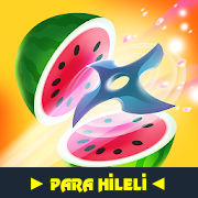 Fruit Master 1.0.1 Hile Mod Apk - PARA HİLELİ