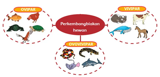 Perkembangbiakan Hewan