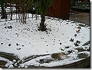 P1090542