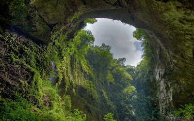 (Puerto Rico) – El Yunque tropical rainforest