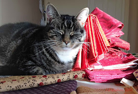 Cat choosing fabric for Easy Street Mystery Quilt