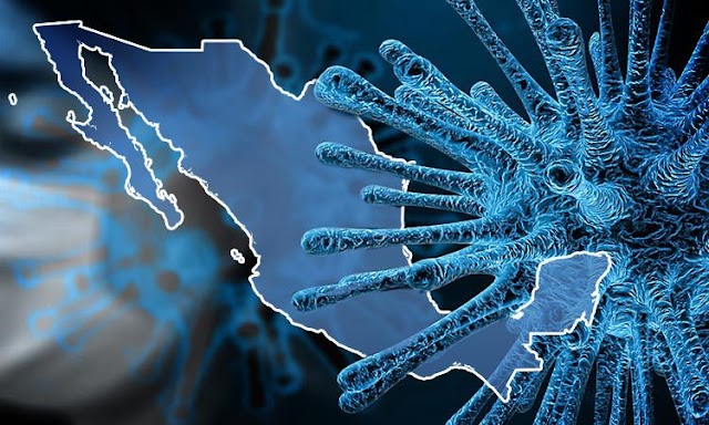 Por coronavirus en México, miles de cibernautas hacen tendencia el hashtag  #COVID19mx