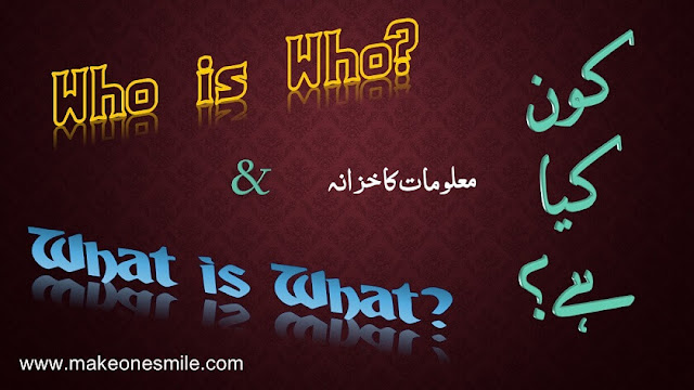 General Knowledge Questions and Answers in Urdu, Islamic Knowledge, General Knowledge Quiz, general knowledge, general knowledge quiz, general knowledge questions and answers, gk questions, general knowledge questions, gk questions and answers, gk question answer, questions, top 10 basic general knowledge quiz questions and answers, top 100 easy general knowledge questions and answers, general knowledge quiz questions and answers, general knowledge questions and answers in English