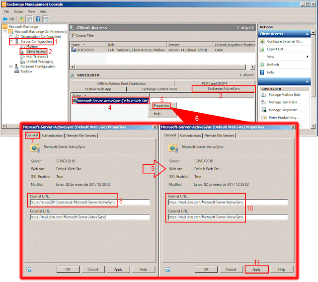 Microsoft-Server-ActiveSync (Default Web Site)