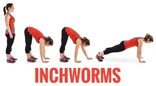 Inchworms exercise
