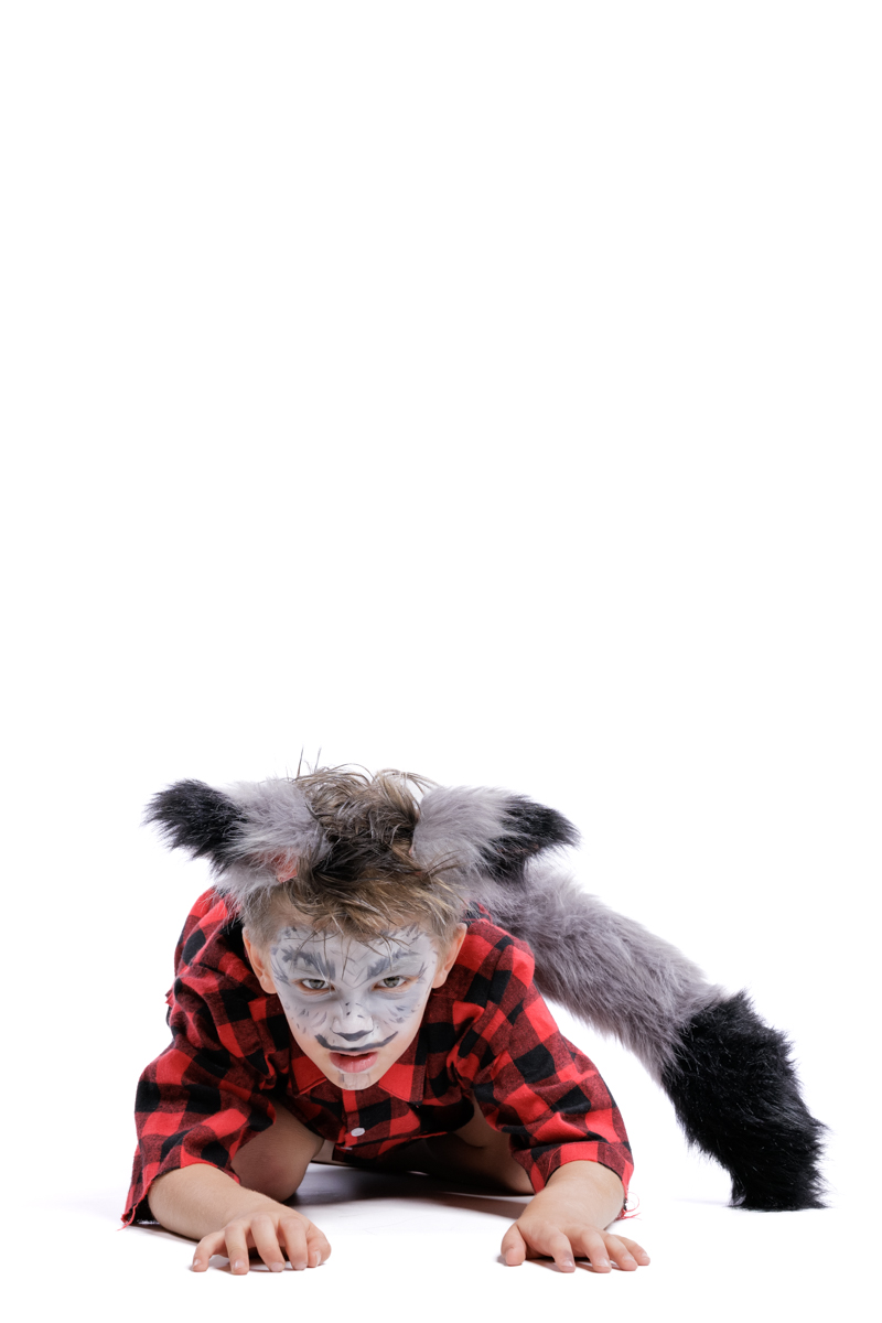 Big bad wolf young boy white background