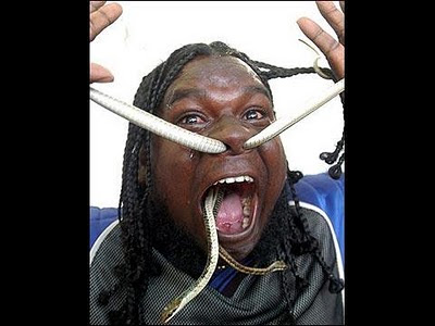 C. Manoharan of India first set a record for swallowing 200 earthworms