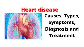 What Is Heart Disease
